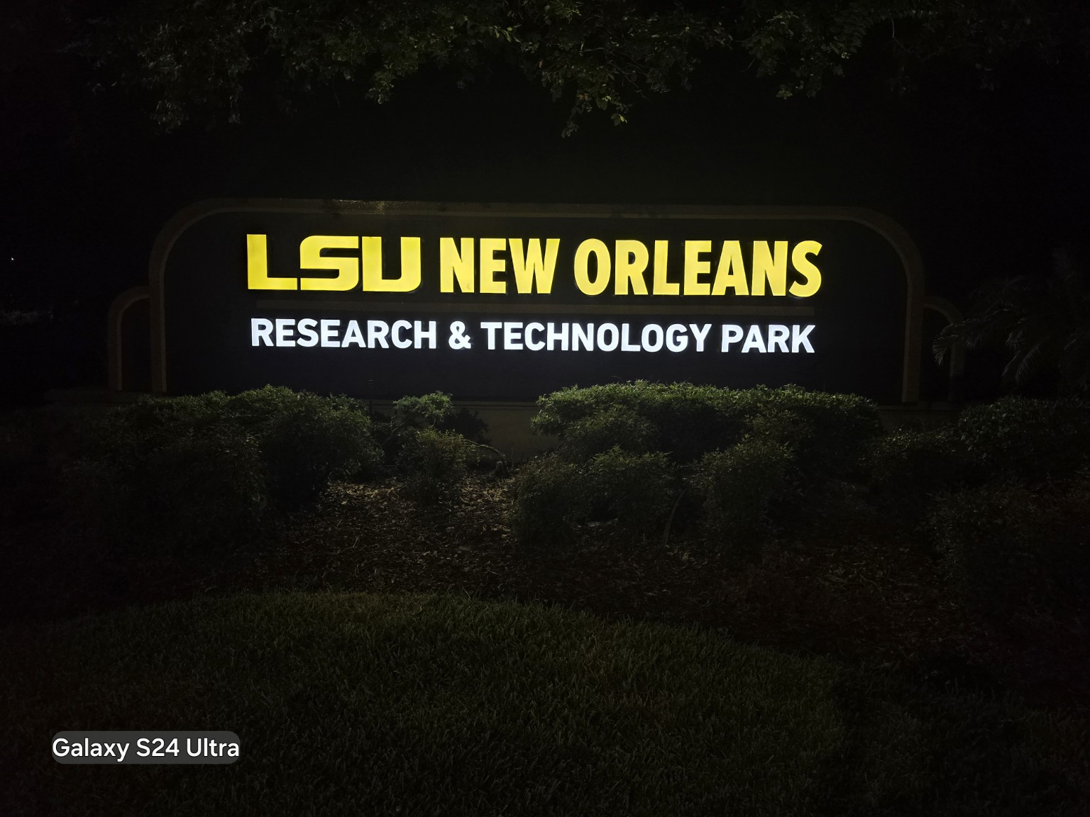 LSU Night View
